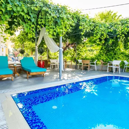 酒店 新塔拉西斯酒店 3*