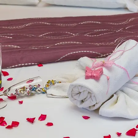 新塔拉西斯酒店 酒店 3*