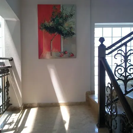 新塔拉西斯酒店 酒店